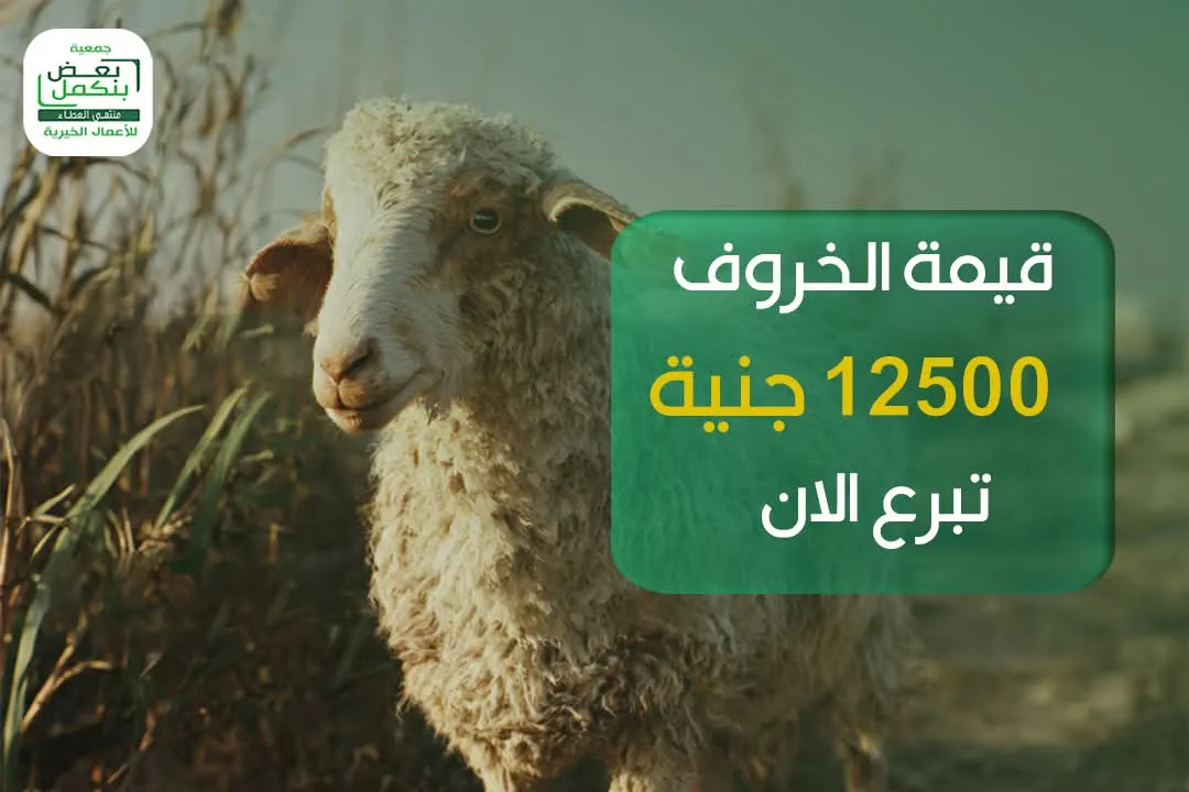 الخروف