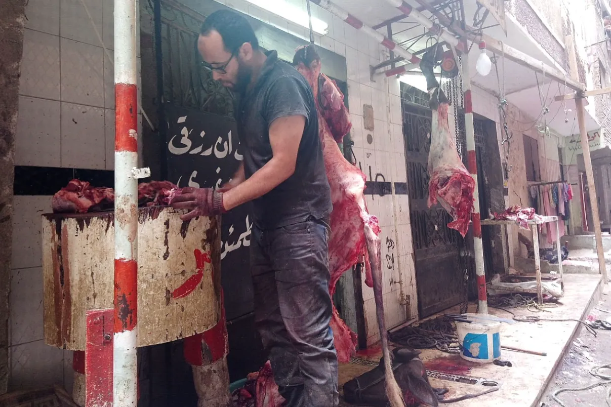 توزيع لحوم عيد الاضحي