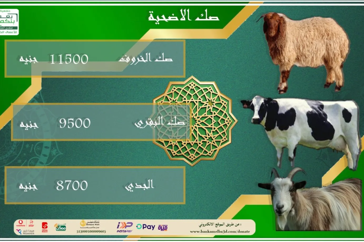 جمعية بنكمل بعض تبدأ في حملة الأضاحي لعام 2025